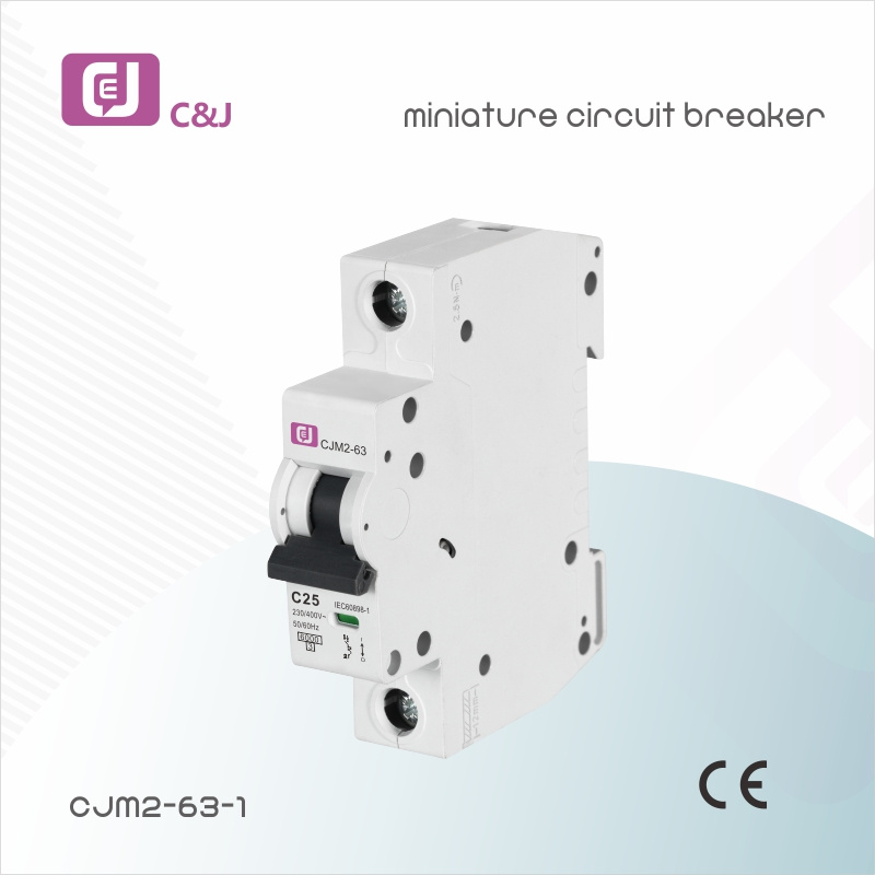 Supply ODM 20A 30A 40A 50A Miniature Circuit Breaker
